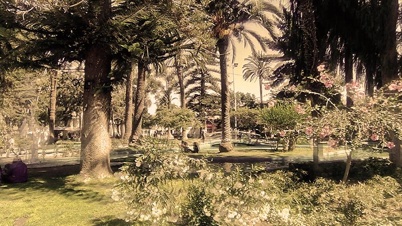 Vista a la Plaza de Ovalle. En la ciudad de Ovalle se conmemoró el aniversario 88 de la DIBAM.