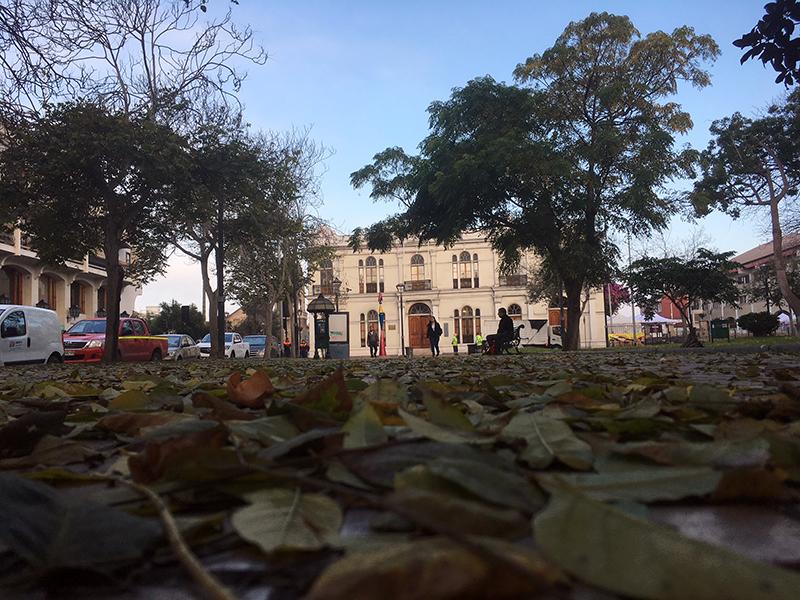 El museo en pleno otoño realiza variadas actividades para celebrar el patrimonio.