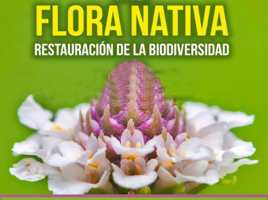 Charla "Flora Nativa" dictada en el Museo Histórico Gabriel González Videla.