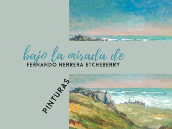Portada catálogo Bajo la mirada de Fernando Herrera Etcheberry