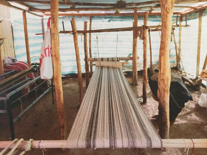 Telar de palo plantado