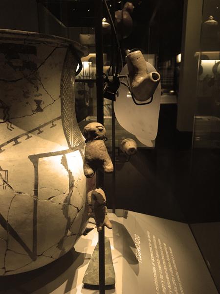 Observando piezas arqueológicas del Museo del Limarí.