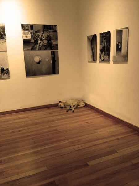 Día inaugural de la exposición de la &quot;Me Ataranta lo que Veo. Imágenes de los Ochenta&quot;.