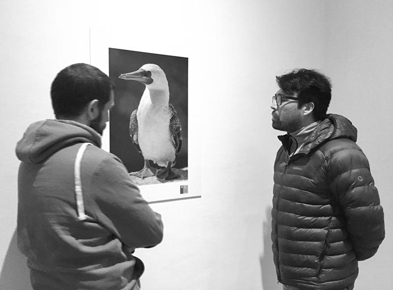 Apreciando la exposición &quot;Habitantes Insulares&quot;