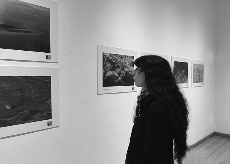 Apreciando las fotografías de &quot;Habitantes Insulares&quot;