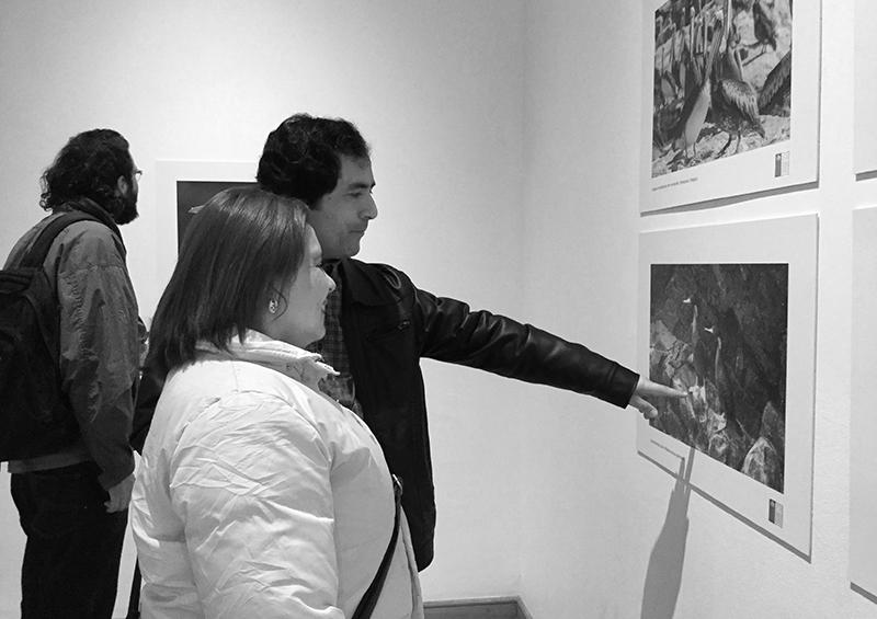 Asistentes a la inauguración de &quot;Habitantes Insulares&quot;