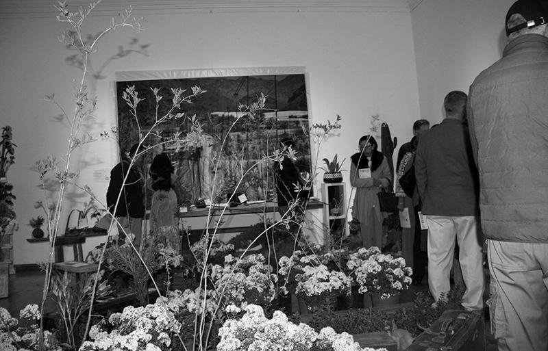 Vista a la exposición del Club de Jardines de La Serena.