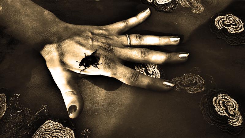 Fotografía de Nerina Toci